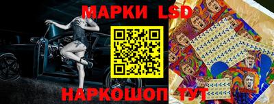 PSILOCYBIN Можга
