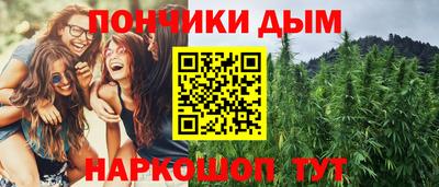 PSILOCYBIN Можга