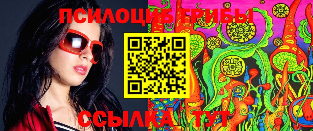 Галлюциногенные грибы Cubensis Черногорск